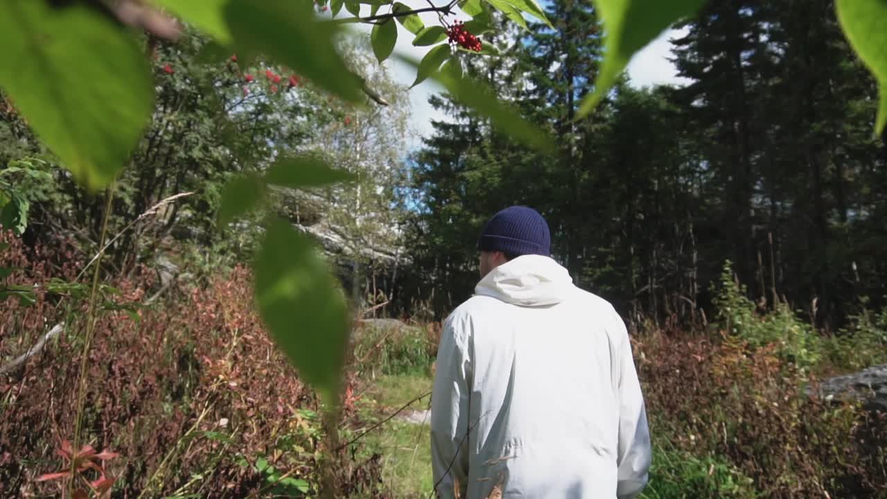 숲에서 산책하는 사람