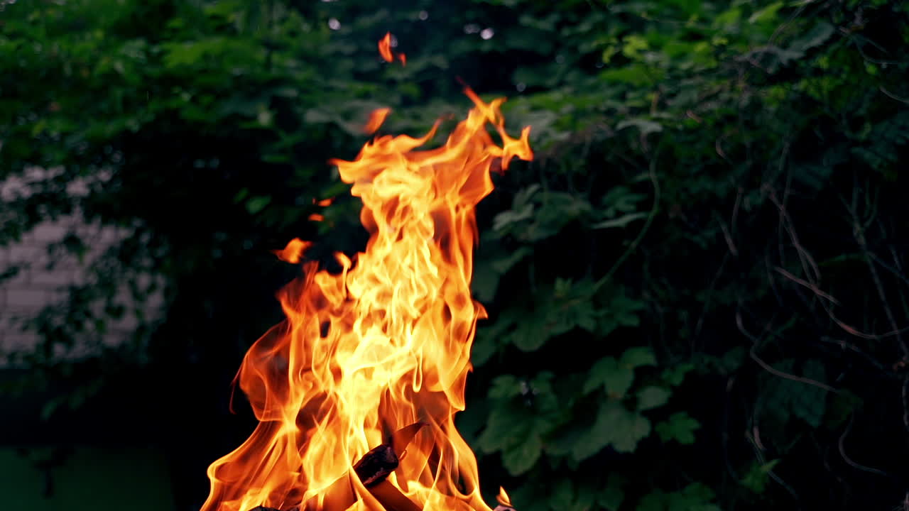 Large camp fire on the natural green background. Bright orange flame burning from wood outdoors in the evening.