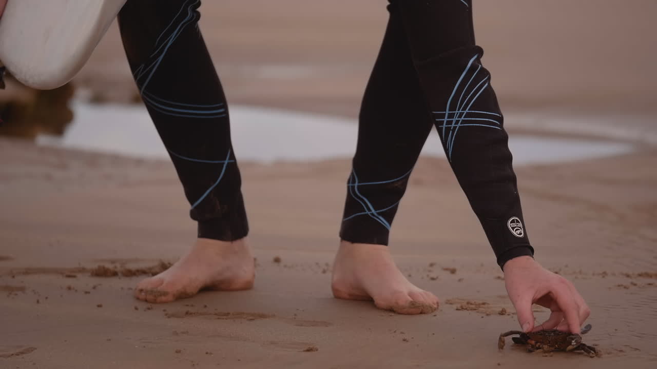 클로즈업 서퍼가 해변에서 게를 줍다