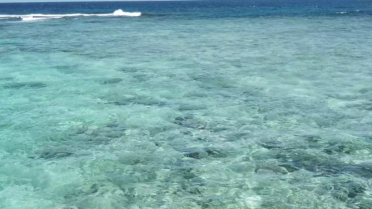 volando bajo sobre personas nadando en aguas cristalinas del océano