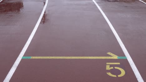 athletics track in the stadium. the ground marks the fifth runway.