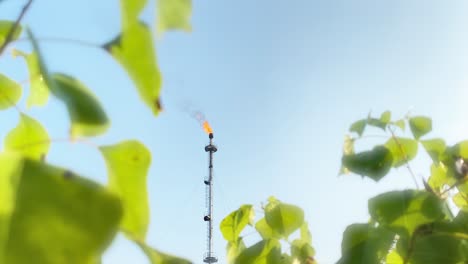 Flare-stack-industry-with-burning-flame-and-smokestack,-leaves-nature-on-foreground,-static