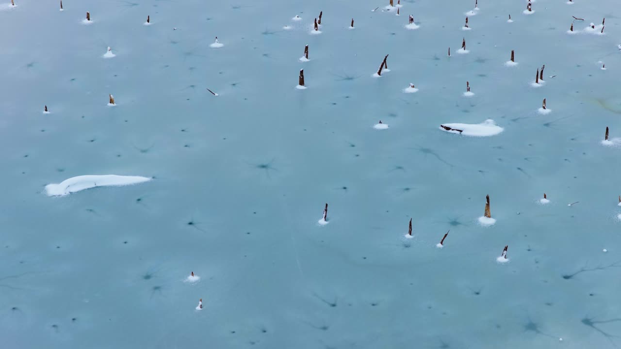 an aerial shot of a frozen wetland. There are lots of old broken tree trunks sticking out of the ice, making an interesting and bleak landscape