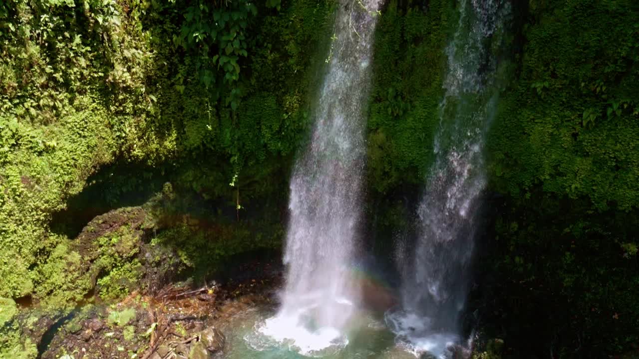 cascadas que caen en el pequeño estanque rodeado de diversa vegetación espesa