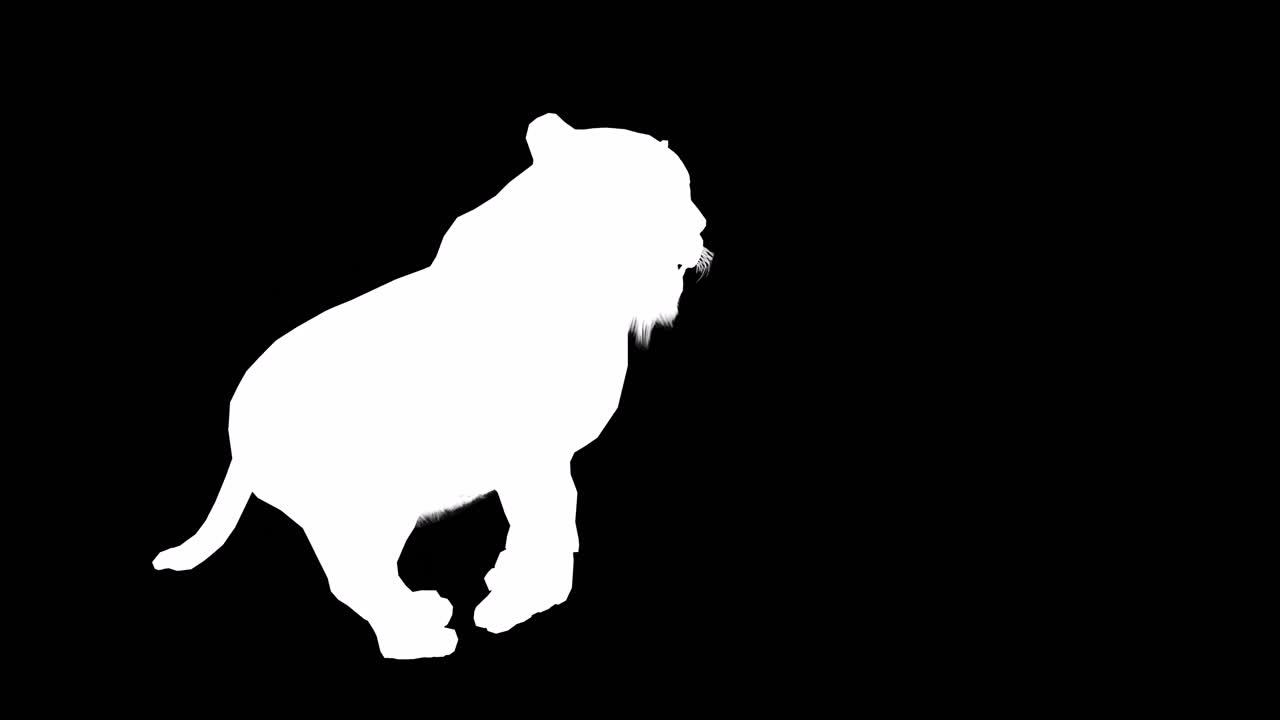 비디오의 끝에 포함 된 알파 채널과 함께 검은 배경에서 달리는 호랑이, 3d 애니메이션, 관점 보기, 애니메이션 동물, 원활한 루프 애니메이션