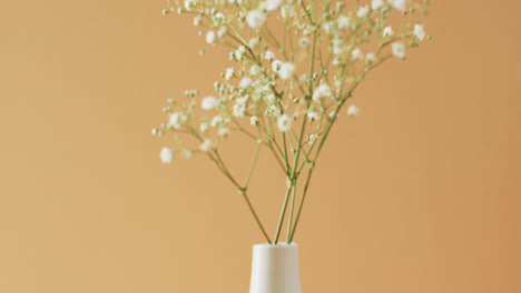 Vídeo-De-Flores-Blancas-En-Jarrón-Blanco-Con-Espacio-Para-Copiar-Sobre-Fondo-Amarillo