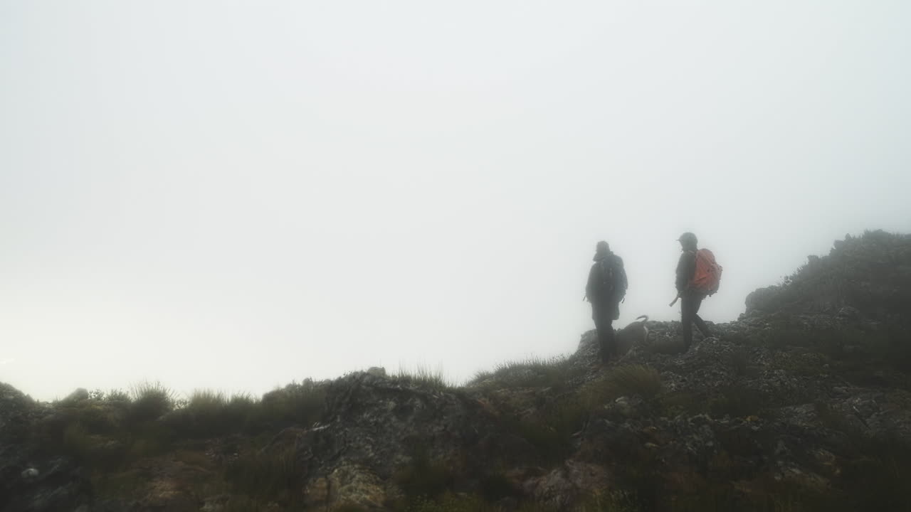 We've come a long way together