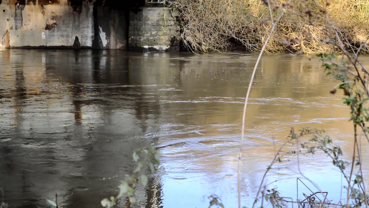 Il fiume Don molto alto e impetuoso, visto dal ponte A614 mentre lo attraversa