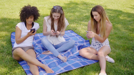 women browsing smartphones in park