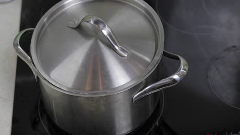 boiling water in the pan that is covered with a lid in the kitchen