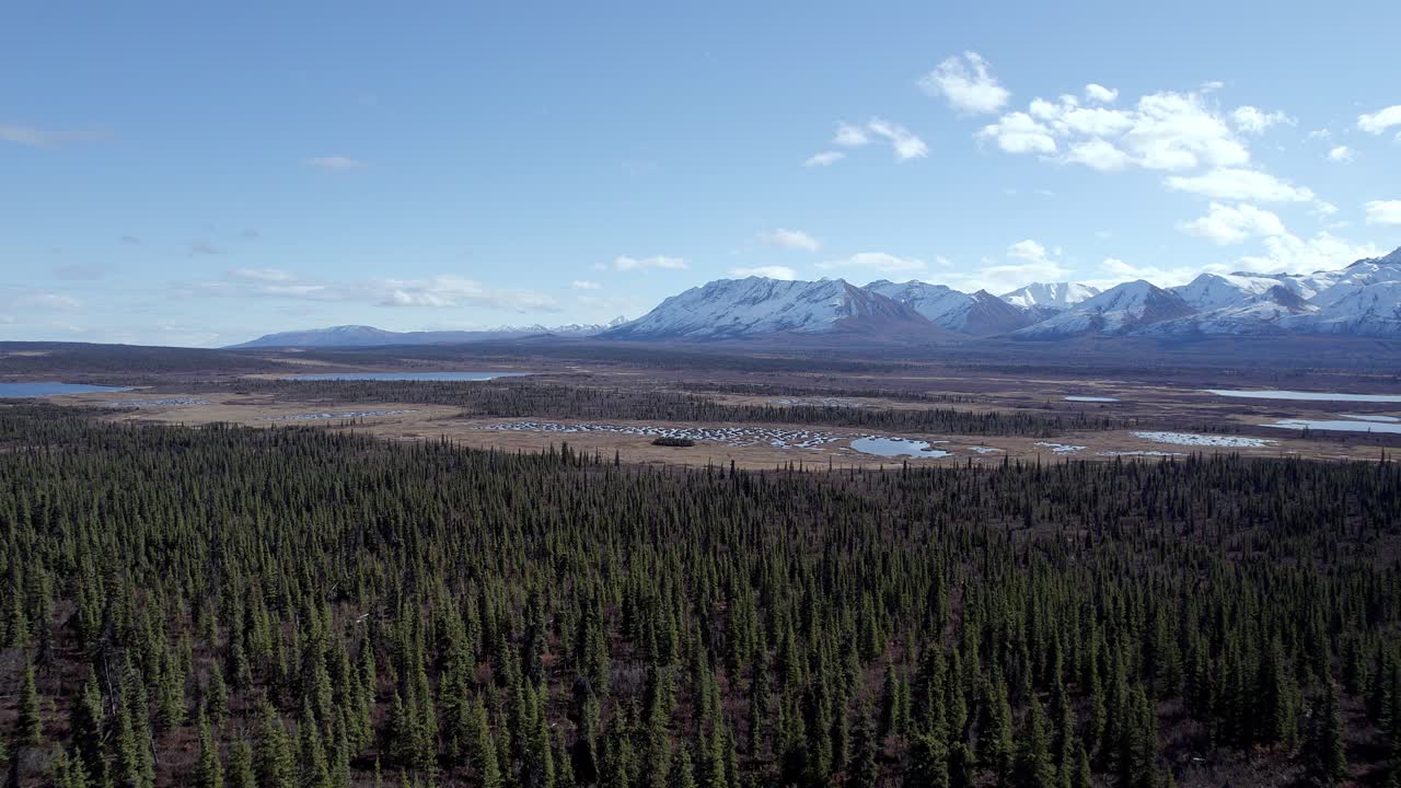video aéreo 4k 30fps en la carretera desde tok, alaska