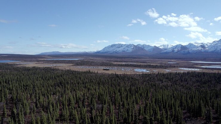 Video aereo 4K a 30fps sulla strada da Tok, Alaska.