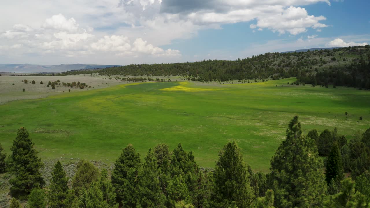 vista aérea de prados verdes, árboles y montañas durante el día en willowcreek, condado de malheur, oregon, estados unidos