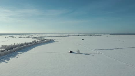 Paisaje-Nórdico-De-Invierno