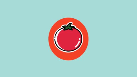 animation of red tomato icon on blue background