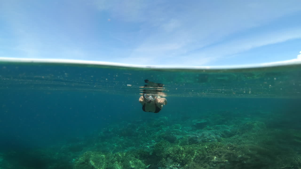 Another summer's day, another awesome dive