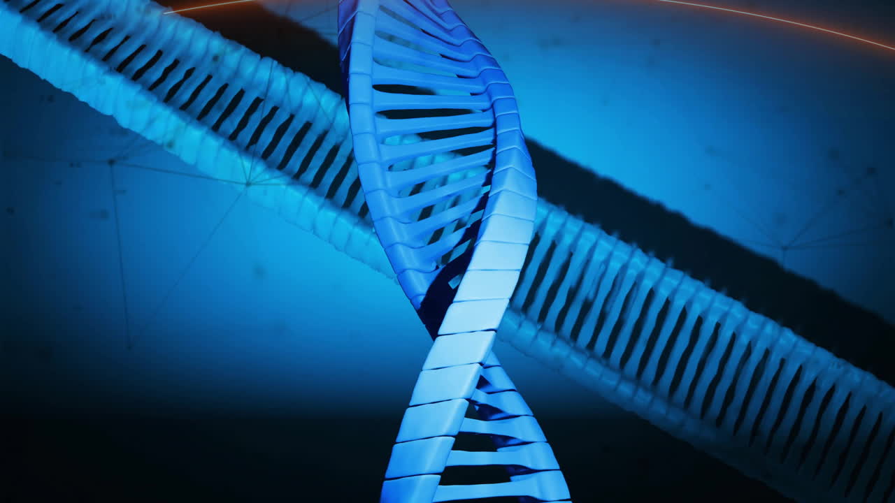 Animation of connections over dna strand