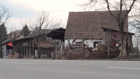 chickens and other farmyard animals at a rural and rustic farm in the balkans