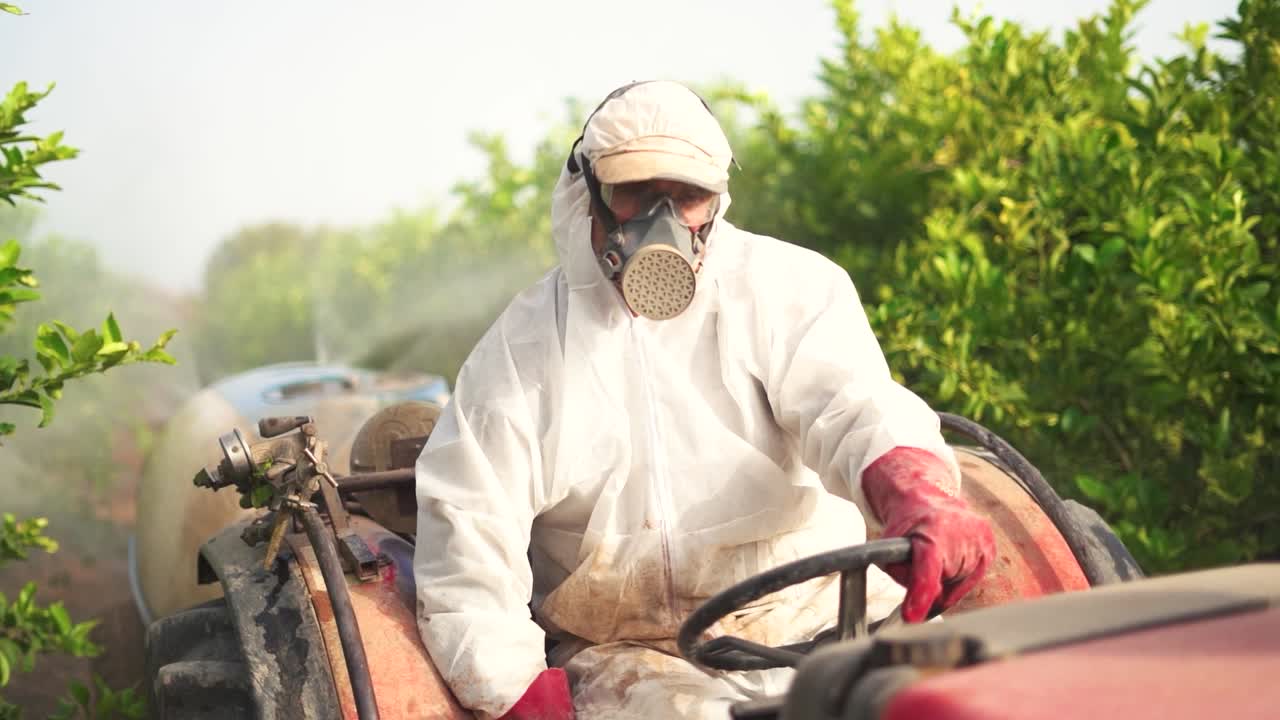 granjero anónimo rociando pesticida en árboles de limón mientras conduce un tractor