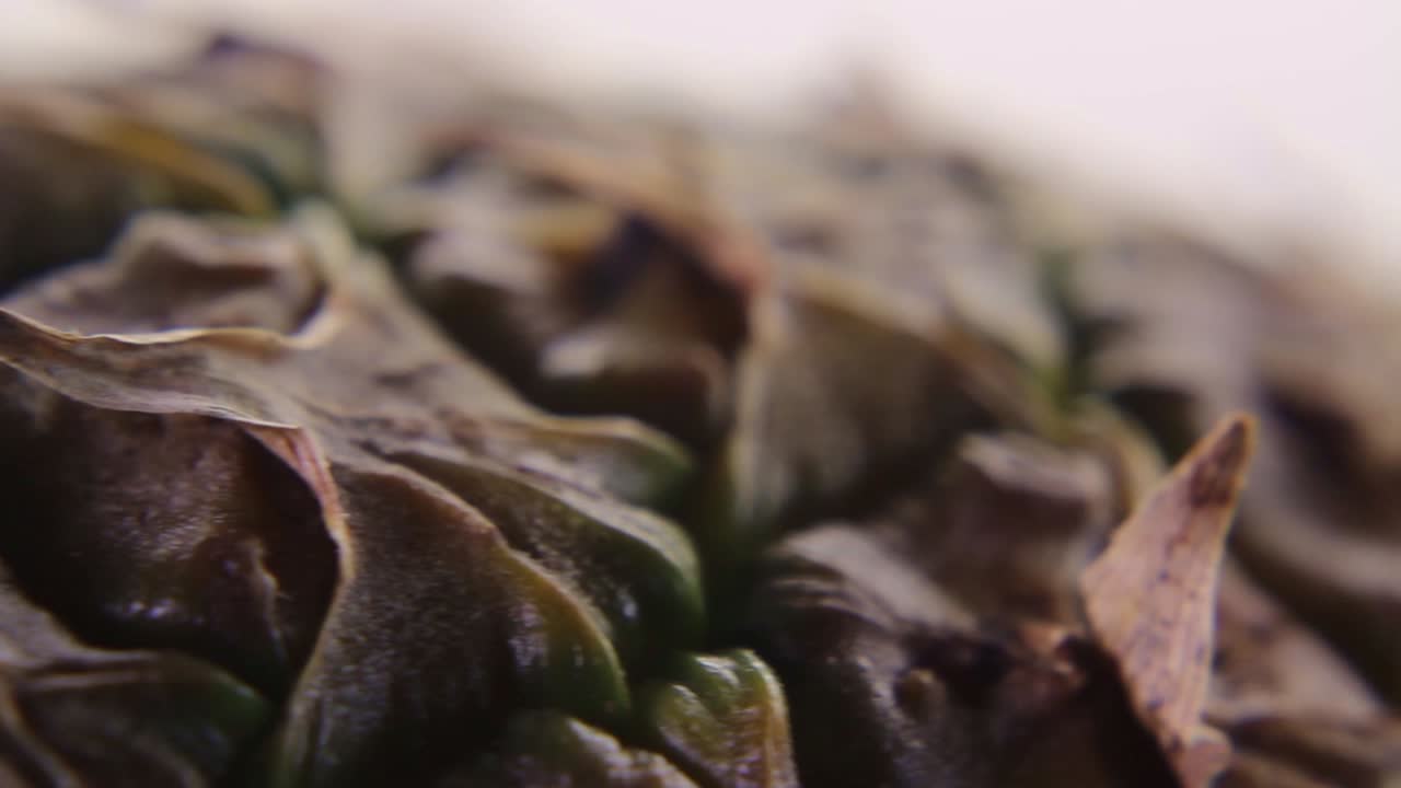 primer plano macro de ananas de piña sobre un fondo blanco