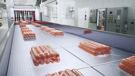 producción de salchichas, bandejas de salchicha envasadas en una cinta transportadora en una fábrica