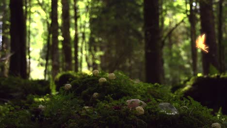 magical forest with a yellow glowing fairy flying above bright green moss and some little herbs, with wooden balls and crystals, with the forest in the background, on a windy and sunny day
