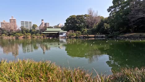 calm water reflecting trees and city buildings