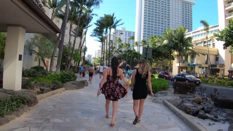 calle comercial en honolulu popular entre los turistas por las marcas de lujo y caras