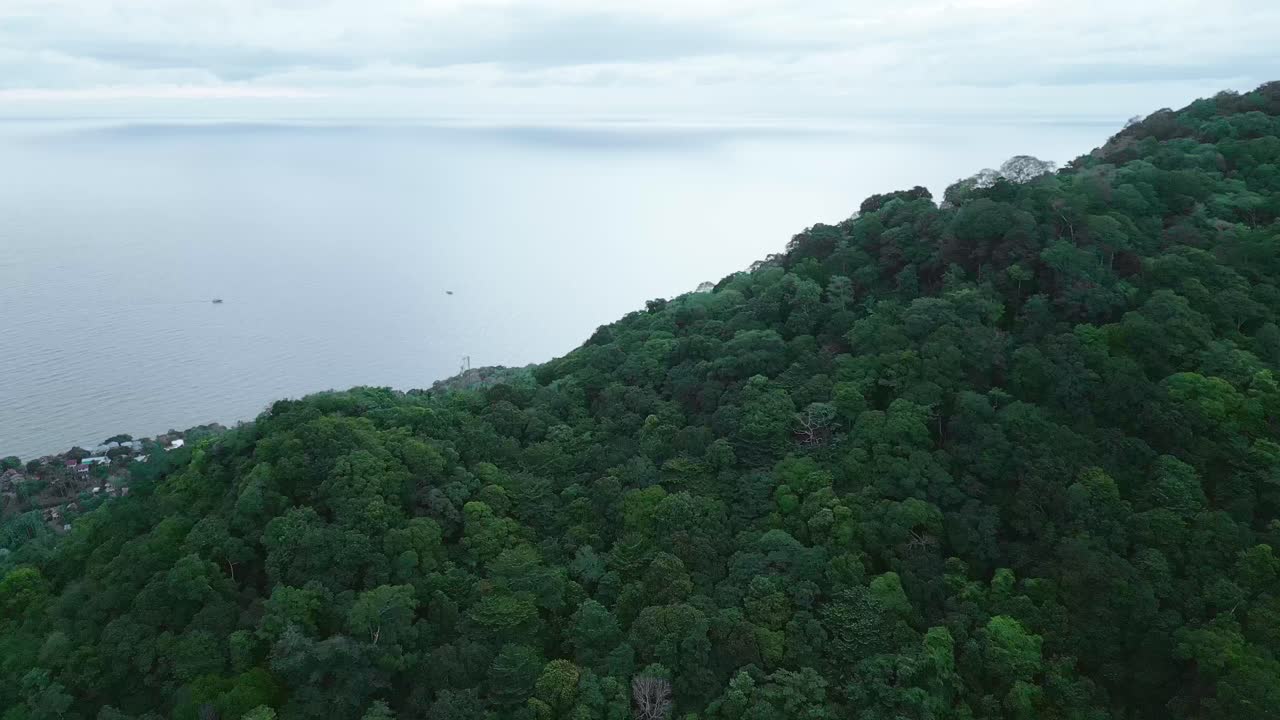 un avión no tripulado vuela sobre la vegetación verde de la jungla revelando la isla de nang yuan, en la isla de koh tao en el golfo de tailandia
