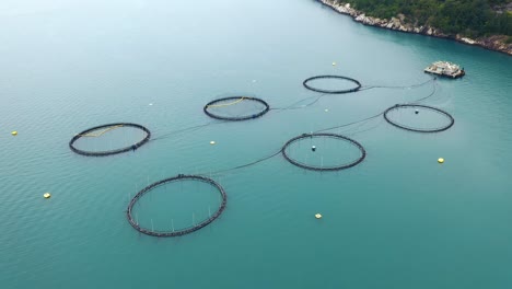 Aerial-footage-Farm-salmon-fishing-in-Norway