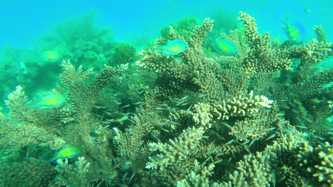 descubriendo otro lado de la vida