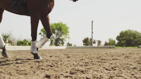 caucasian woman riding her horse