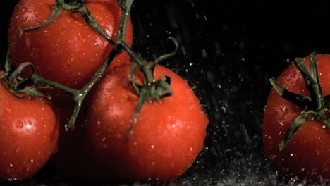 raindrops in super slow motion falling on tomatoes