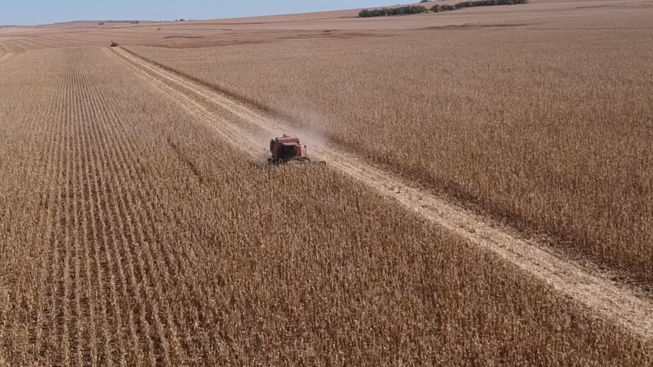 case 2388 cosechadora 4k