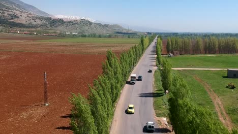 Toma-Cenital-De-Autos-Que-Pasan-Por-La-Calle-Central-Plantada-Con-2-Hileras-De-Altos-árboles-Verdes,-Valle-De-Beqaa,-Líbano