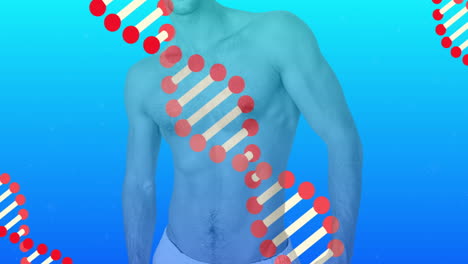animación de hebras de adn 3d girando sobre la sección media blanca de un hombre desnudo