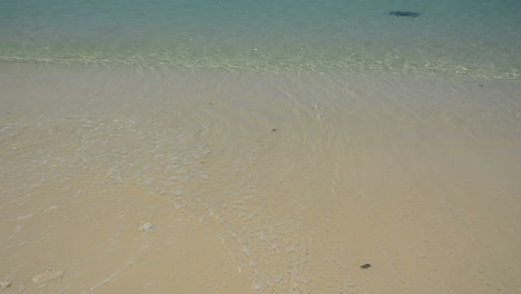 ocean sea wave with sand