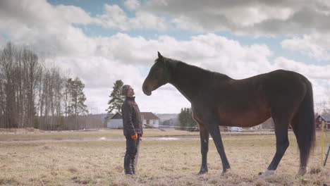 Woman-interacts-with-big-horse-during-equine-facilitated-therapy-workshop