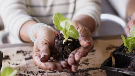 Diverse-senior-couple-sitting-at-table-and-planting-plants-to-pots-on-porch