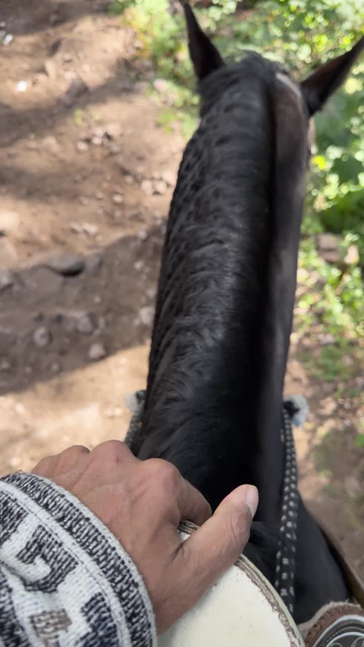 Inquadratura verticale in soggettiva che mostra una persona a cavallo di un cavallo nero lungo un sentiero sterrato polveroso nel bosco, ideale per contenuti di viaggio e avventura