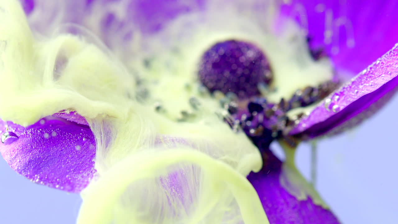fotografía macro abstracta de una flor púrpura con pintura amarilla