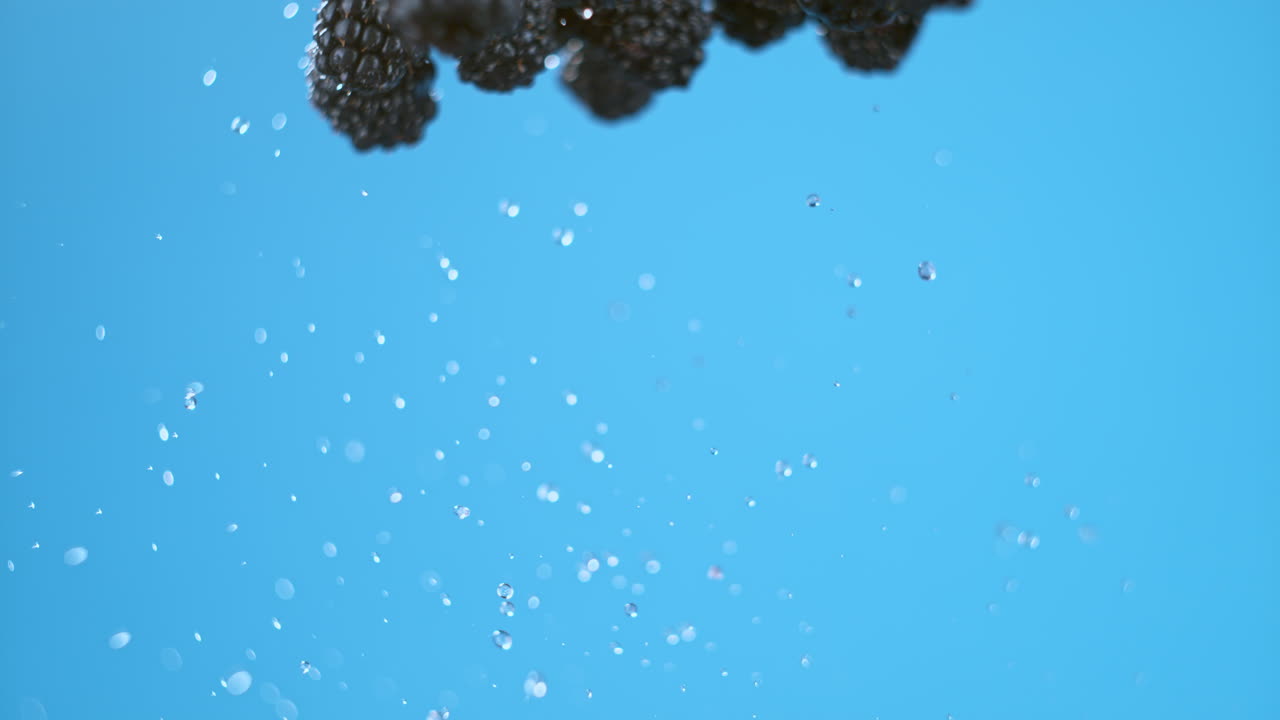 블랙베리의 줄이 발사되고 물과 함께 프레임을 통해 날아