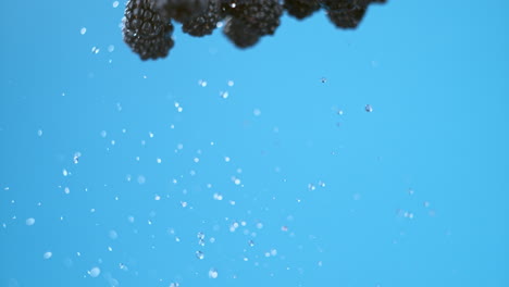 a row of blackberries launched and flying through the frame with water