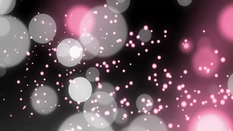 pink and white bokeh lights moving over dark background