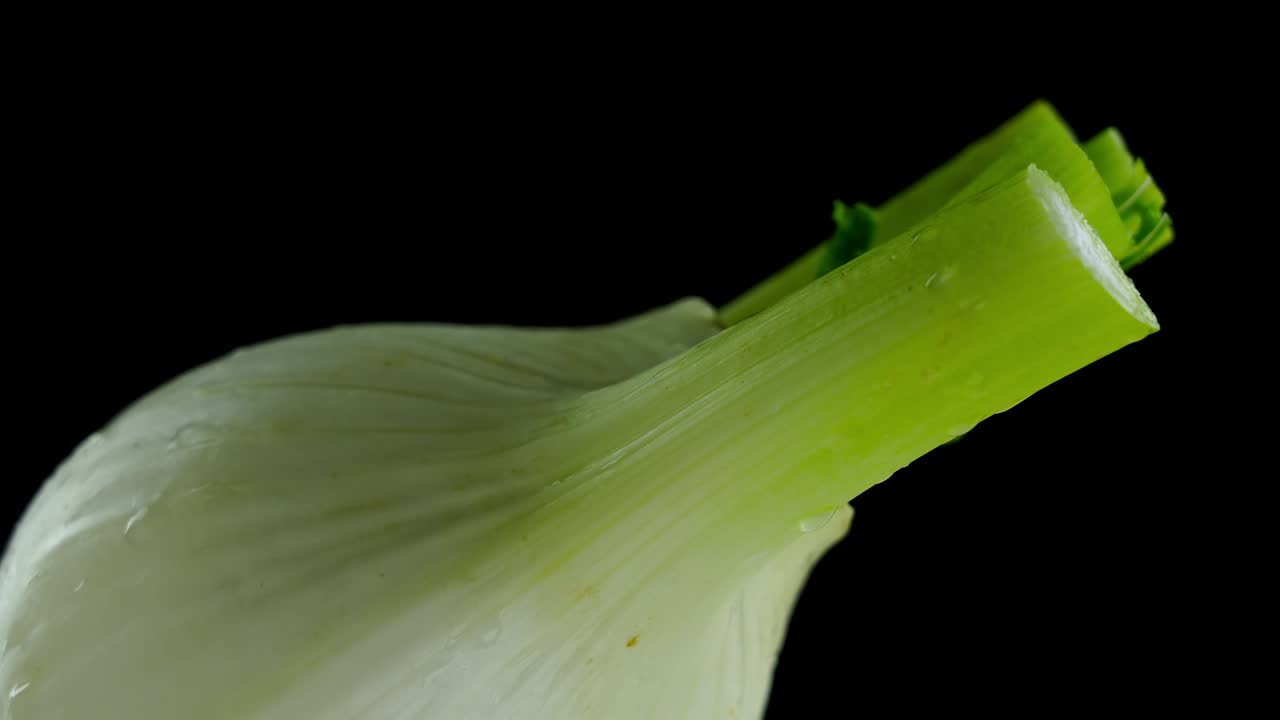 raíz de hinojo joven con tallos cortados y gotas de agua en negro