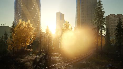 skyscrapes and the forest park at sunrise