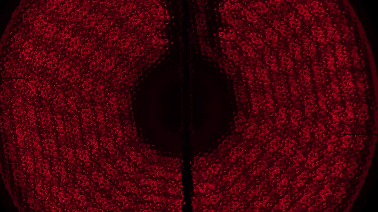 инфракрасная электрическая плита.