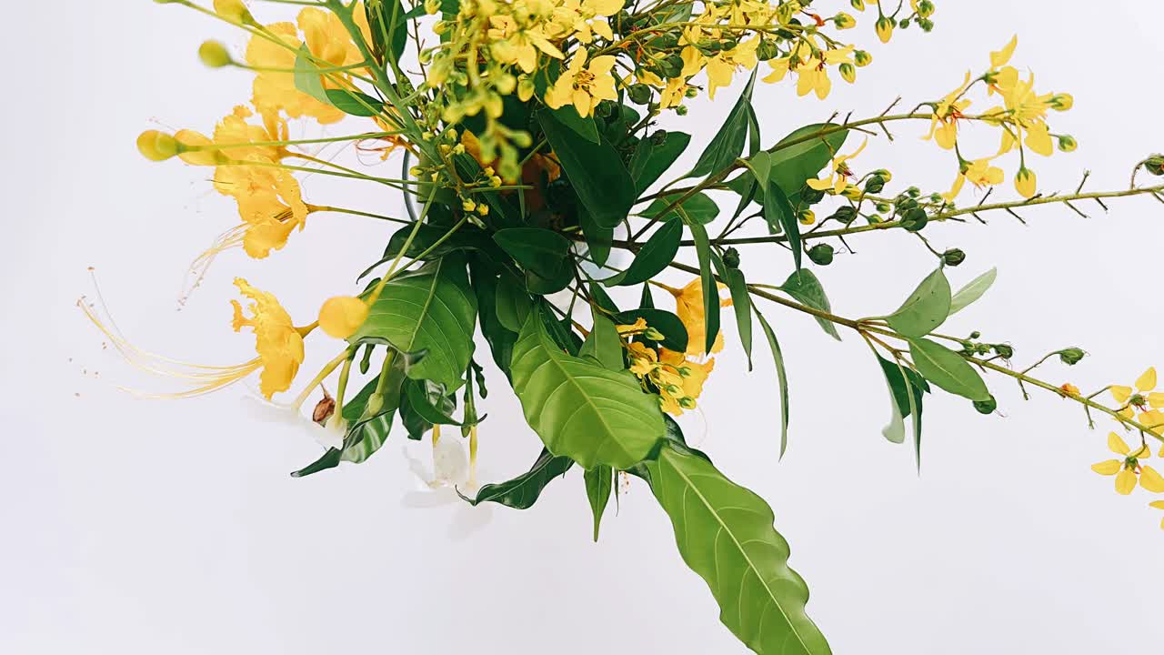 노란색 꽃 꽃받침