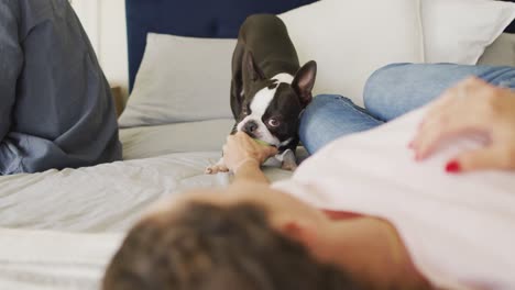 caucasian couple playing with dog with a ball at home