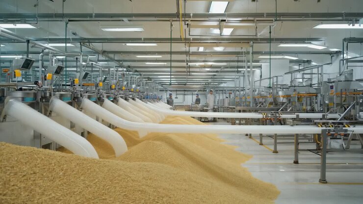 Grain Processing in a Modern Factory
